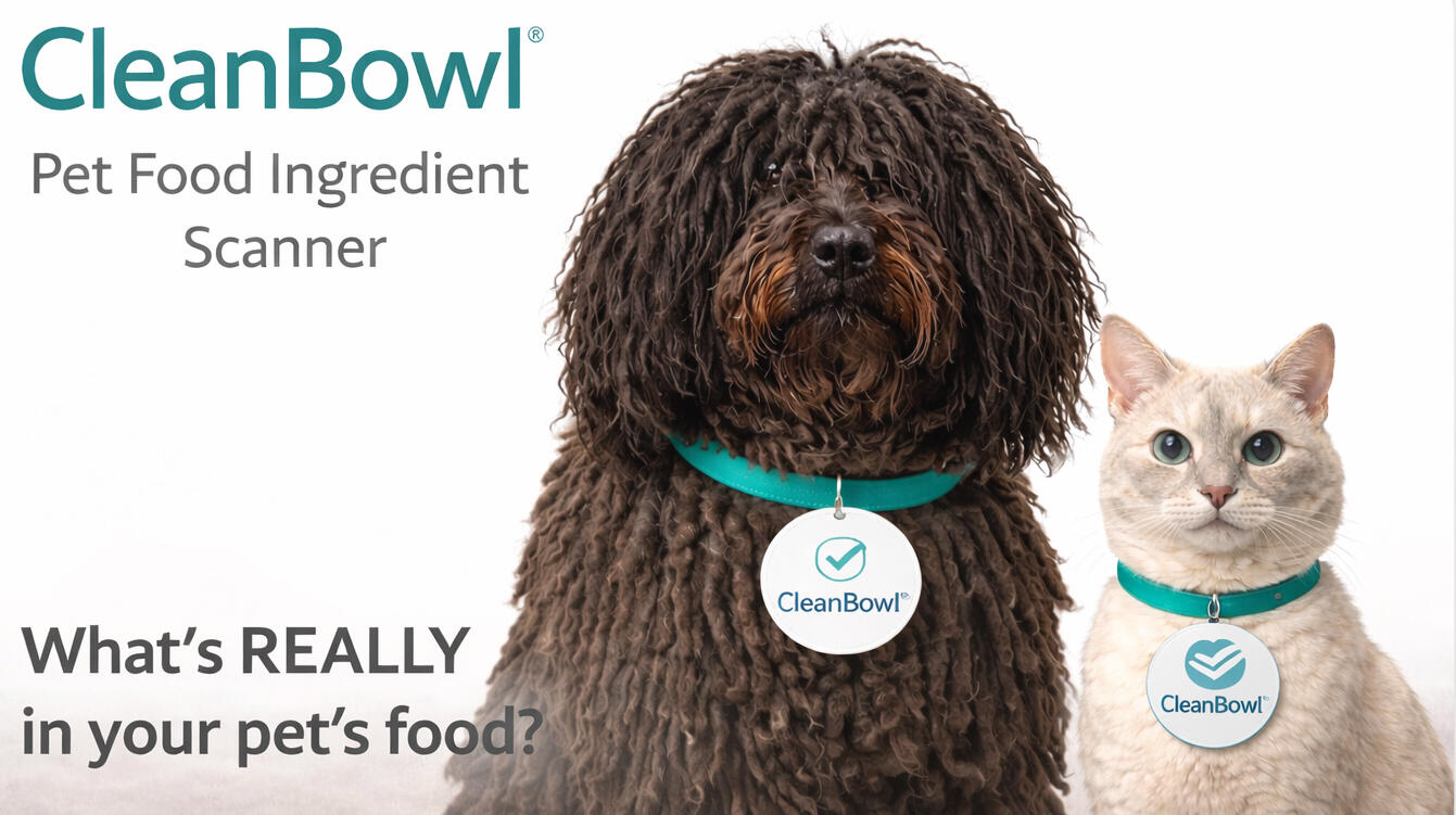 Live AI application built for real-world consumer use